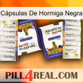 Cápsulas De Hormiga Negra 12